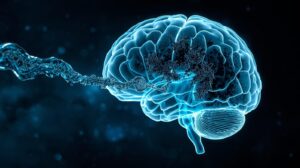 「深い睡眠中、脳は『脳脊髄液』で老廃物を洗い流しています。」